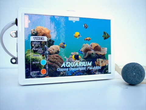 Acquario